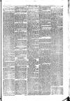 West Cumberland Times Saturday 20 February 1875 Page 3