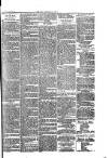 West Cumberland Times Saturday 06 March 1875 Page 7