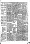 West Cumberland Times Saturday 26 June 1875 Page 3