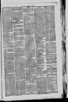 West Cumberland Times Saturday 13 January 1877 Page 5