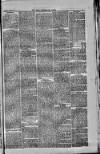 West Cumberland Times Saturday 23 June 1877 Page 3