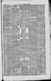 West Cumberland Times Saturday 14 July 1877 Page 5