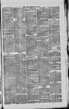 West Cumberland Times Saturday 18 August 1877 Page 3