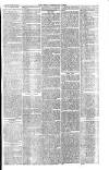 West Cumberland Times Saturday 23 March 1878 Page 3