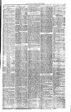 West Cumberland Times Saturday 06 April 1878 Page 5