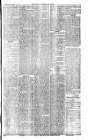 West Cumberland Times Saturday 13 April 1878 Page 5