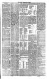 West Cumberland Times Saturday 15 June 1878 Page 5