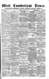 West Cumberland Times Saturday 03 August 1878 Page 1