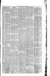West Cumberland Times Saturday 25 January 1879 Page 3