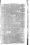 West Cumberland Times Saturday 25 January 1879 Page 5