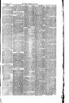 West Cumberland Times Saturday 01 February 1879 Page 3
