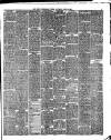 West Cumberland Times Saturday 28 July 1883 Page 3