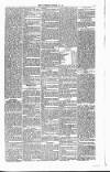 Ulverston Mirror and Furness Reflector Saturday 24 November 1860 Page 5