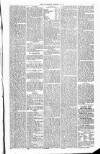 Ulverston Mirror and Furness Reflector Saturday 19 January 1861 Page 5