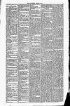 Ulverston Mirror and Furness Reflector Saturday 08 June 1861 Page 7
