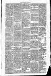 Ulverston Mirror and Furness Reflector Saturday 15 June 1861 Page 5