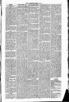 Ulverston Mirror and Furness Reflector Saturday 15 June 1861 Page 7