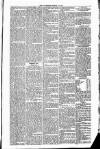 Ulverston Mirror and Furness Reflector Saturday 22 June 1861 Page 5