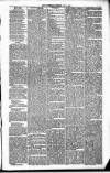 Ulverston Mirror and Furness Reflector Saturday 04 January 1868 Page 3