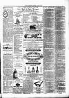 Ulverston Mirror and Furness Reflector Saturday 20 April 1872 Page 3