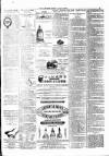 Ulverston Mirror and Furness Reflector Saturday 15 January 1870 Page 3