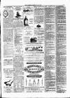 Ulverston Mirror and Furness Reflector Saturday 12 March 1870 Page 3