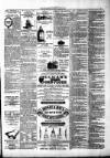 Ulverston Mirror and Furness Reflector Saturday 09 April 1870 Page 3