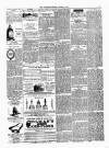 Ulverston Mirror and Furness Reflector Saturday 18 February 1871 Page 3