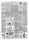 Ulverston Mirror and Furness Reflector Saturday 06 May 1871 Page 3