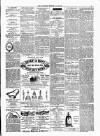 Ulverston Mirror and Furness Reflector Saturday 24 June 1871 Page 3