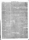 Ulverston Mirror and Furness Reflector Saturday 23 January 1875 Page 7