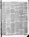 Ulverston Mirror and Furness Reflector Saturday 17 April 1875 Page 3