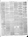 Ulverston Mirror and Furness Reflector Saturday 24 July 1875 Page 3