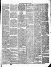 Ulverston Mirror and Furness Reflector Saturday 07 August 1875 Page 3