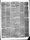 Ulverston Mirror and Furness Reflector Saturday 25 September 1875 Page 3