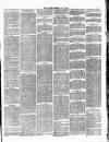 Ulverston Mirror and Furness Reflector Saturday 29 January 1876 Page 3