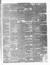 Ulverston Mirror and Furness Reflector Saturday 08 April 1876 Page 5