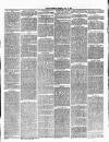 Ulverston Mirror and Furness Reflector Saturday 03 June 1876 Page 3