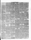 Ulverston Mirror and Furness Reflector Saturday 03 June 1876 Page 5