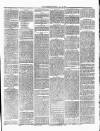 Ulverston Mirror and Furness Reflector Saturday 29 July 1876 Page 3