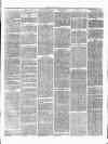 Ulverston Mirror and Furness Reflector Saturday 09 September 1876 Page 3
