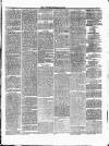 Ulverston Mirror and Furness Reflector Saturday 23 December 1876 Page 3