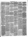 Ulverston Mirror and Furness Reflector Saturday 13 January 1877 Page 3