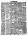 Ulverston Mirror and Furness Reflector Saturday 27 January 1877 Page 3