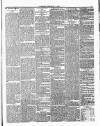 Ulverston Mirror and Furness Reflector Saturday 10 February 1877 Page 5