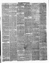 Ulverston Mirror and Furness Reflector Saturday 24 February 1877 Page 3