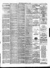 Ulverston Mirror and Furness Reflector Saturday 30 June 1877 Page 3