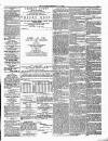 Ulverston Mirror and Furness Reflector Saturday 12 January 1878 Page 3