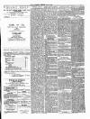 Ulverston Mirror and Furness Reflector Saturday 22 June 1878 Page 3