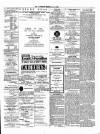 Ulverston Mirror and Furness Reflector Saturday 15 March 1879 Page 3